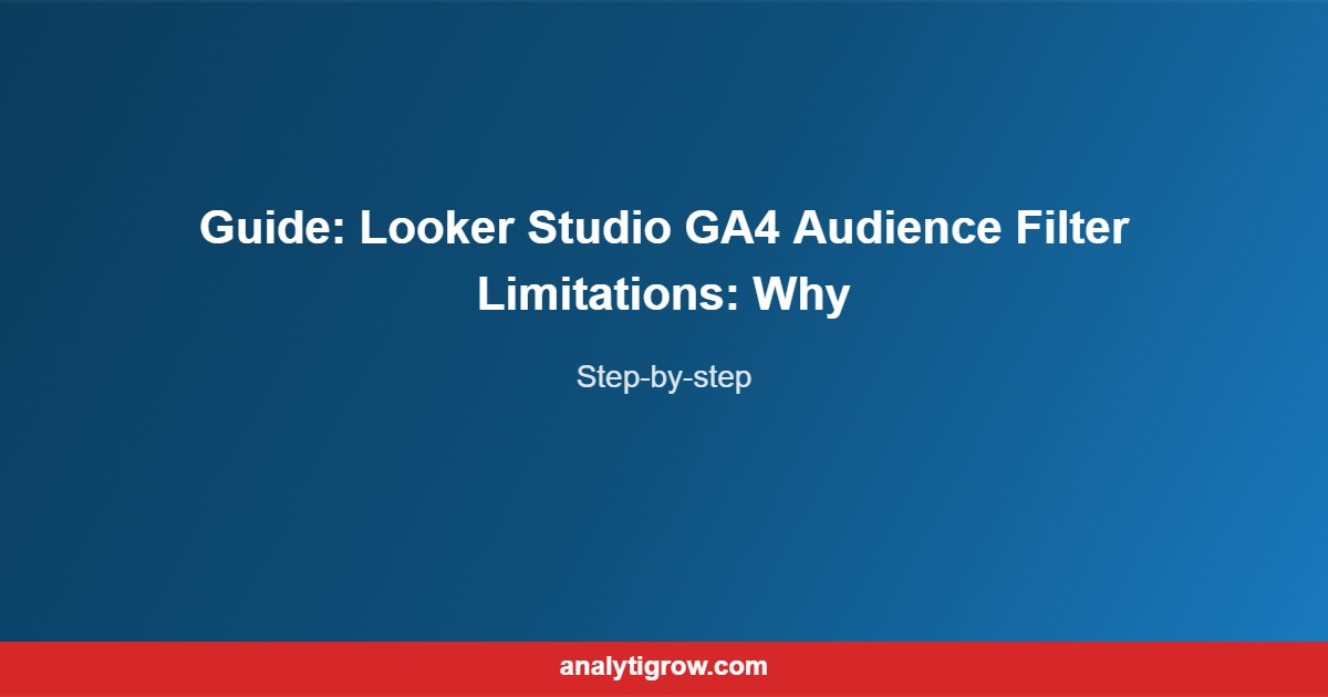 Guide Looker Studio GA4 Audience Fil